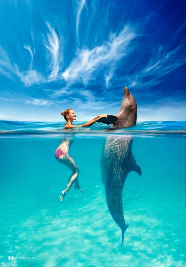 Девушка с дельфином