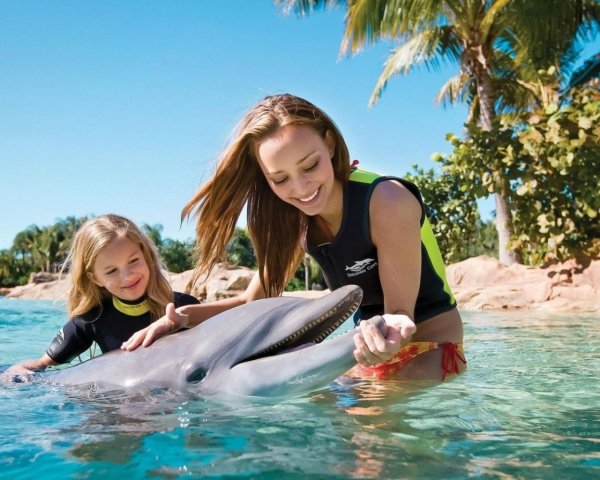 Девушка с дельфином