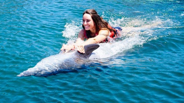 Девушка с дельфином