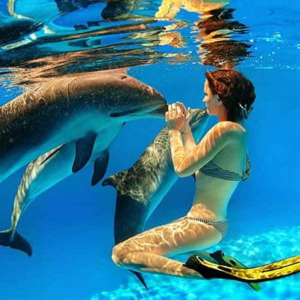 Девушка с дельфином