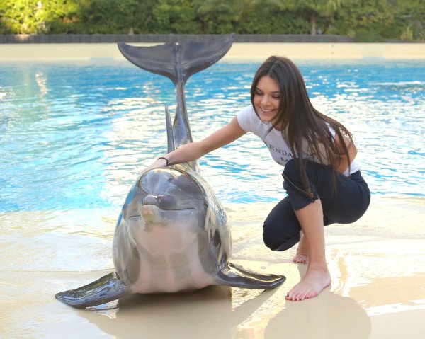 Девушка с дельфином