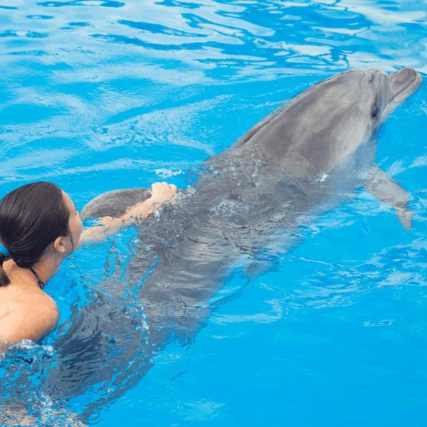 Девушка с дельфином