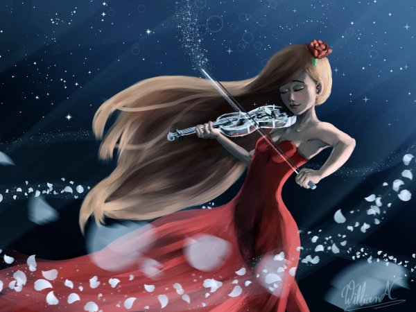 Девушка играет на скрипке