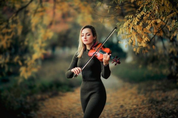 Девушка играет на скрипке