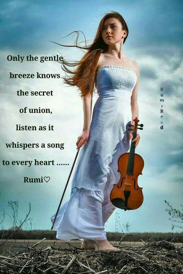 Девушка играет на скрипке