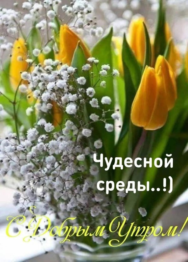 весенние цветы