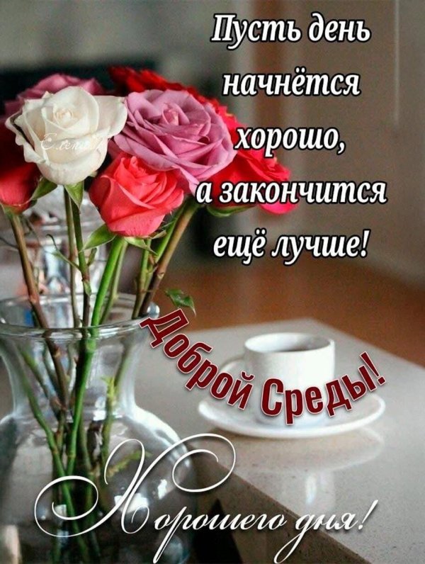 замечательной среды