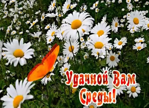 прекрасной среды