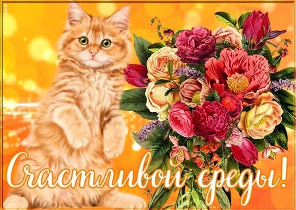 открытки прекрасной среды