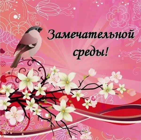 прекрасной среды