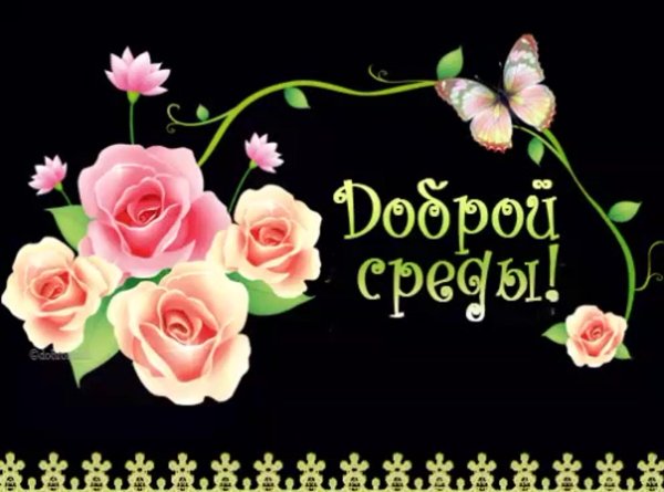 среда доброго утра