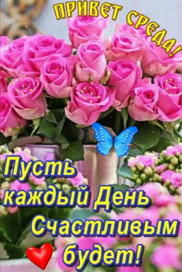 роза розовая