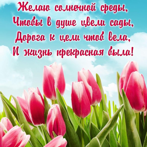 весенние тюльпаны