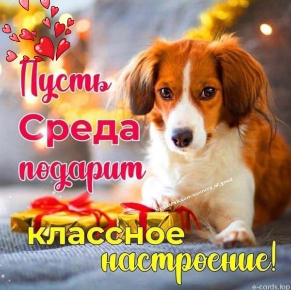 прекрасной среды