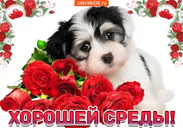 прекрасной среды