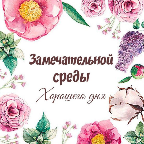 замечательной среды