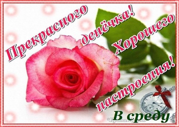 открытка хорошей среды и отличного настроения