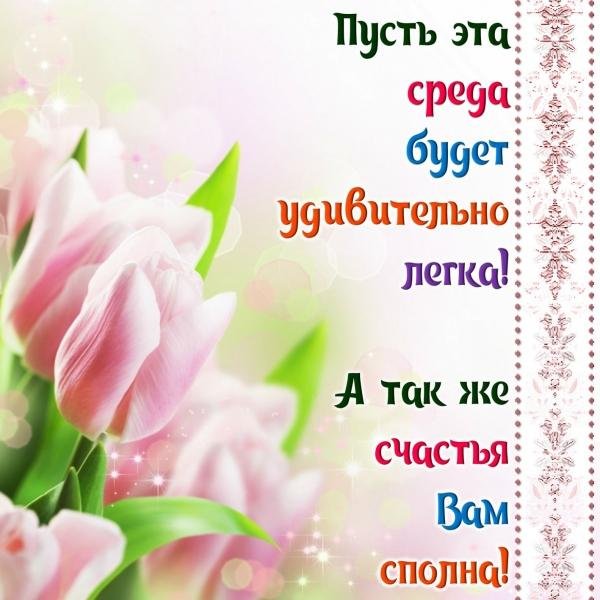 нежные тюльпаны