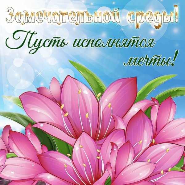 прекрасной среды