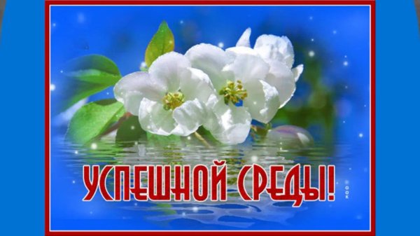 прекрасной среды