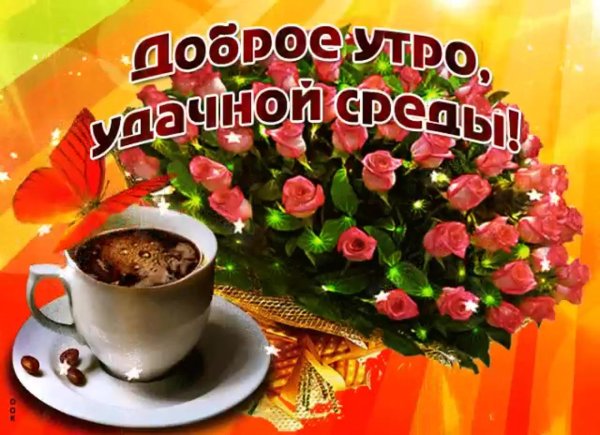 прекрасной среды