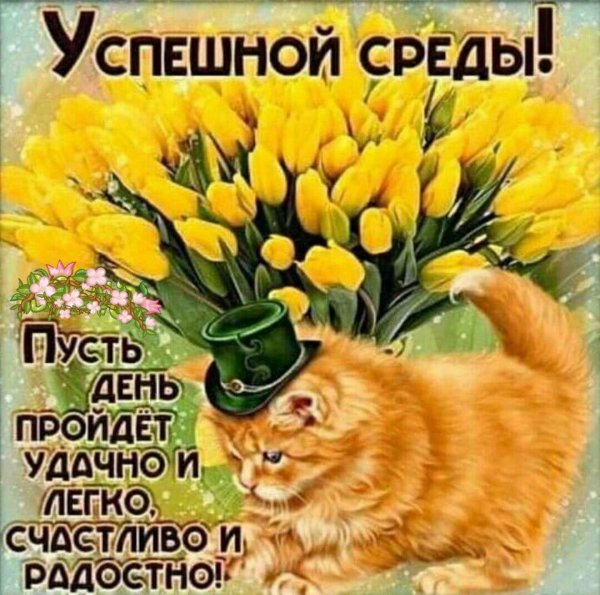 успешной среды