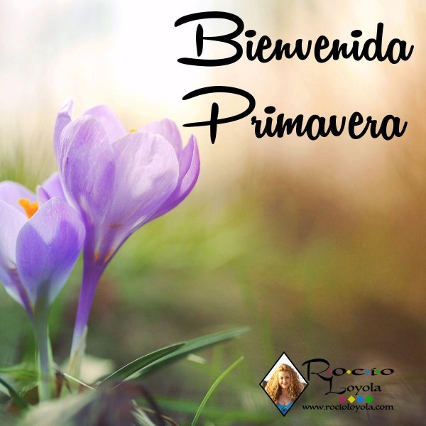 весна крокусы