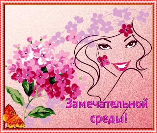 замечательной среды