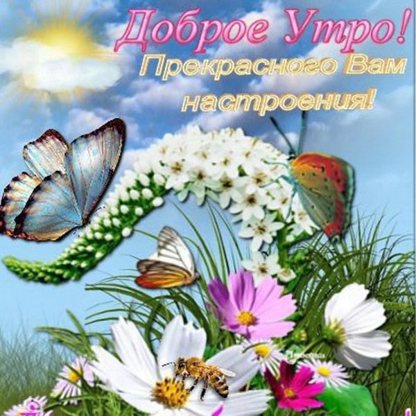 открытка с добрым днем летняя