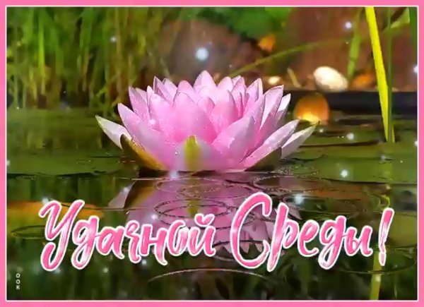 прекрасного утра среды