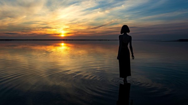 Девушка со спины на закате