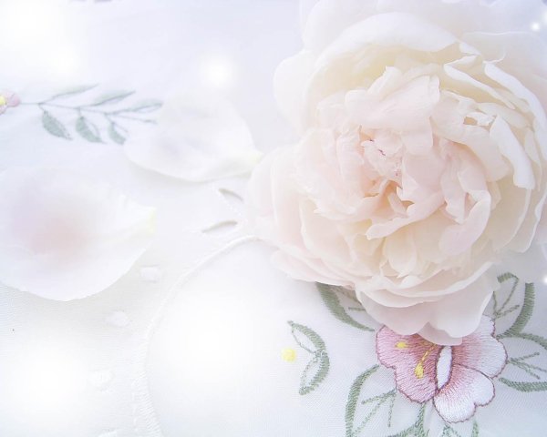 фон цветочный нежный