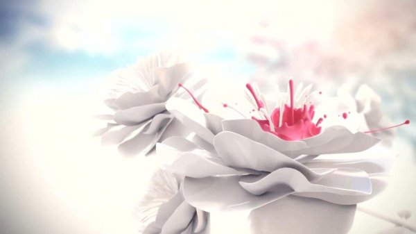 цветы светлые