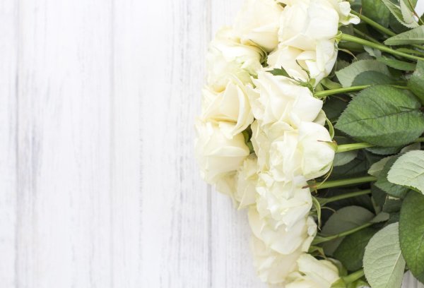 роза вайт грин