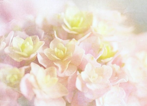 фон пастельные тона