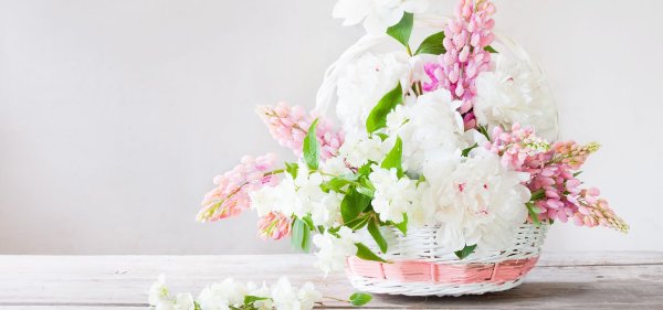 корзина пионов