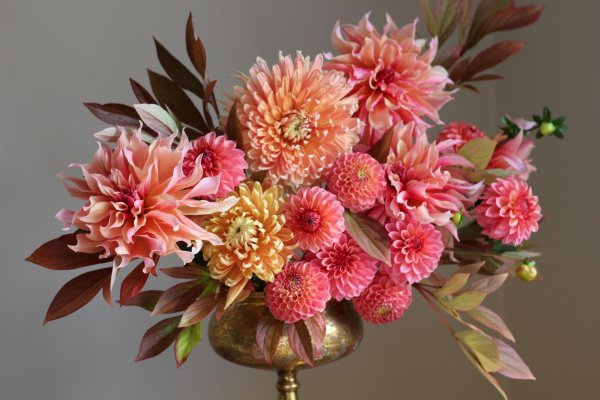 георгины букетные