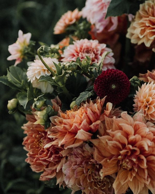 букет с георгинами