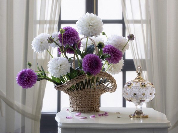 ирина приходько фотонатюрморты