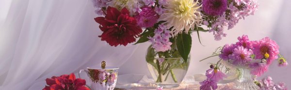 доброе утро с георгинами