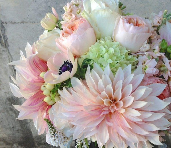 георгины букетные