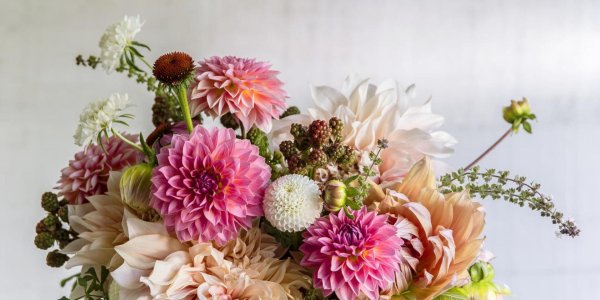 георгины букетные