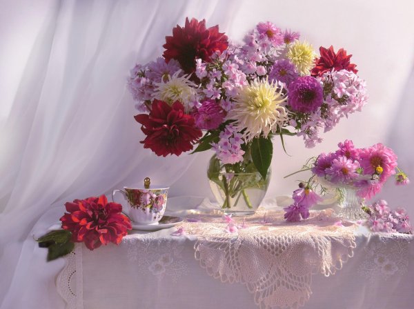 фотонатюрморты валентина колова