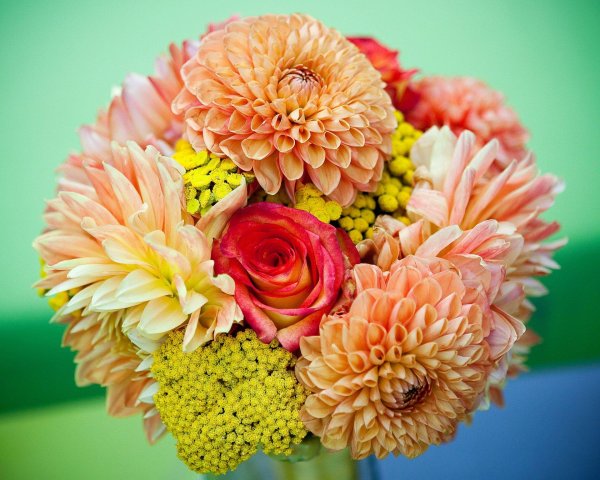 георгины в букете