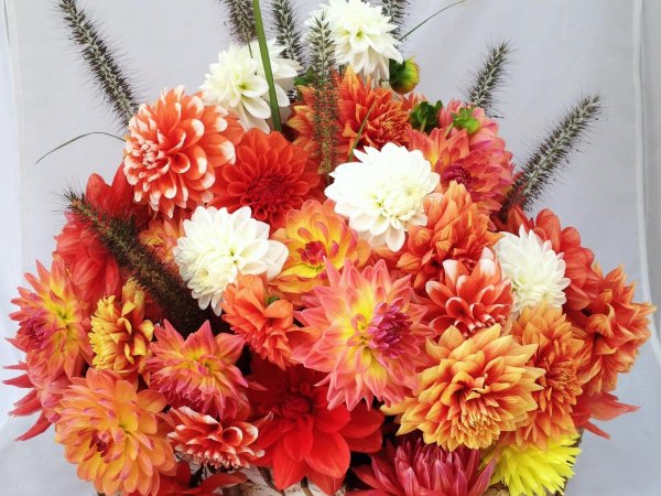 букет осенних цветов