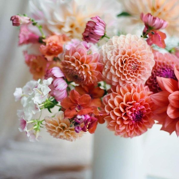 георгины букетные