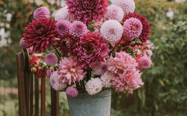 георгины в букете