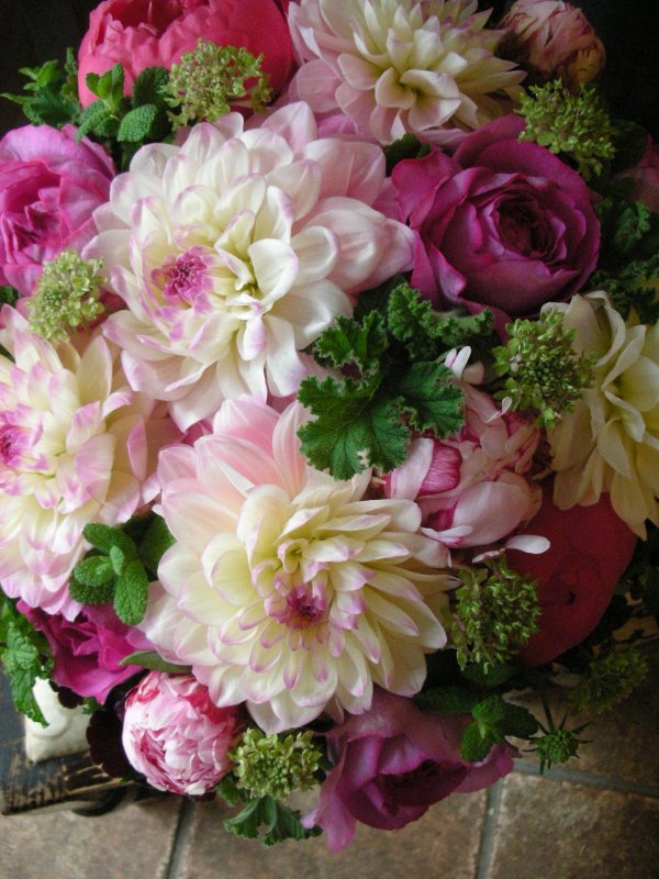 георгины букетные