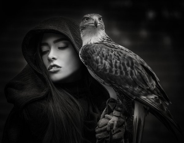 Девушка и животные