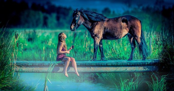 Девушка и животные